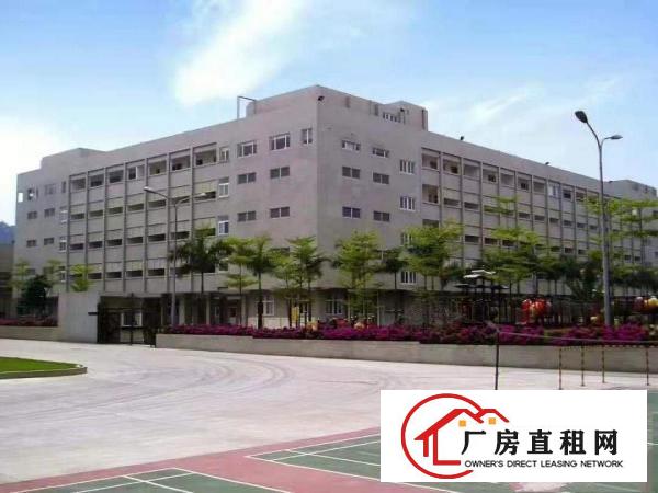  急招出租，大岭山实拍的2楼厂房2000平米，原房东，公摊小