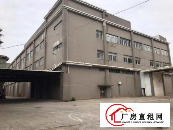  大岭山镇石大路边原房东独门独院厂房出租空地超大可办环评。
