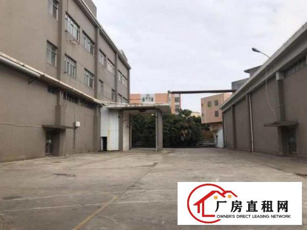  大岭山镇石大路边原房东独门独院厂房出租空地超大可办环评。
