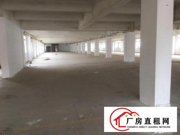  独院厂房出租，园区空地大，交通方便，易招工