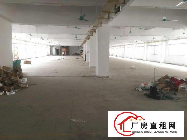  独院厂房出租，园区空地大，交通方便，易招工