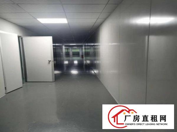  东莞楼上无尘车间无转让费厂房出租