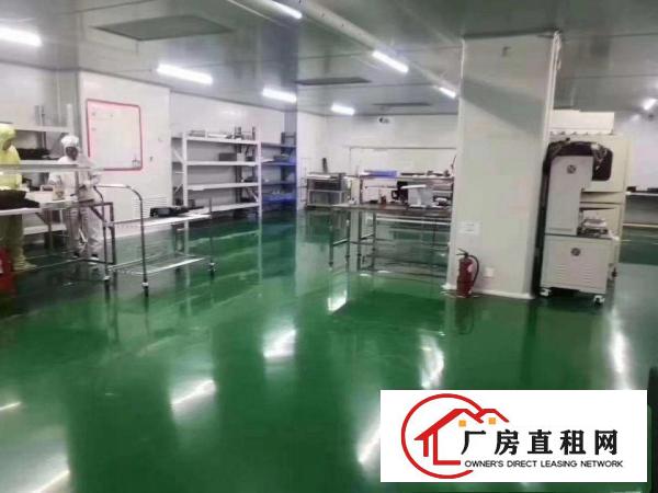  东莞楼上无尘车间无转让费厂房出租