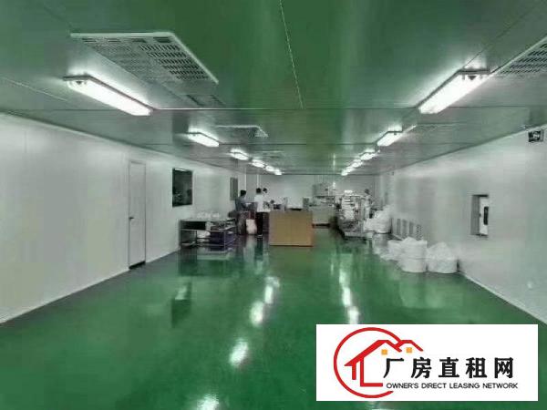  东莞楼上无尘车间无转让费厂房出租