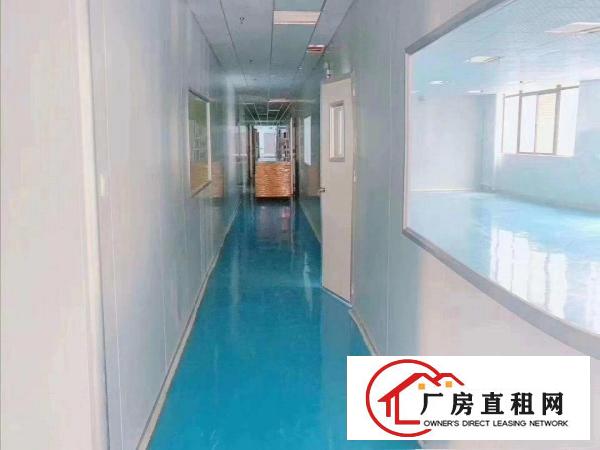  口罩客户看过来，现成无尘车间1000平