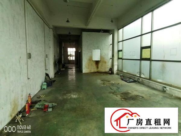  大岭山杨屋楼上现成水电350平可办环评
