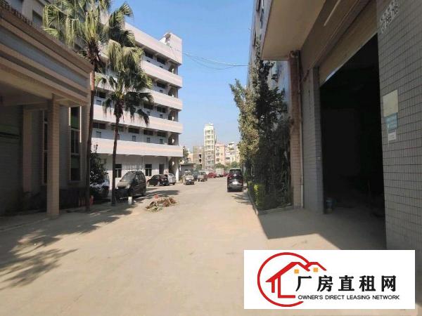  大岭山龙大高速边现成航车1000平可办环评