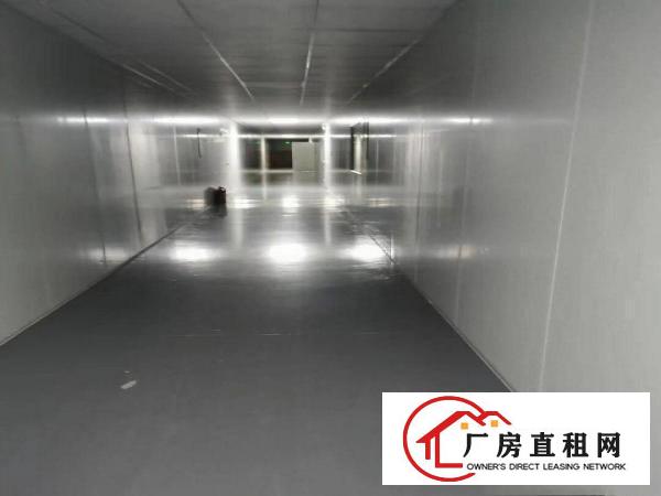  大岭山107国道连平工业园3楼无尘车间1500平