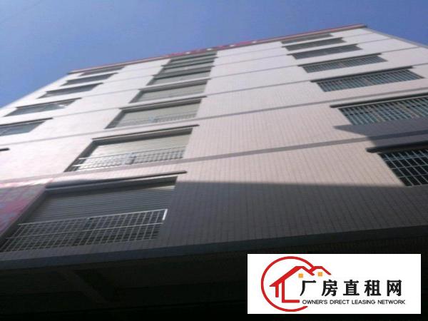  粤美特加油站附近全新厂房带停车场业主直租