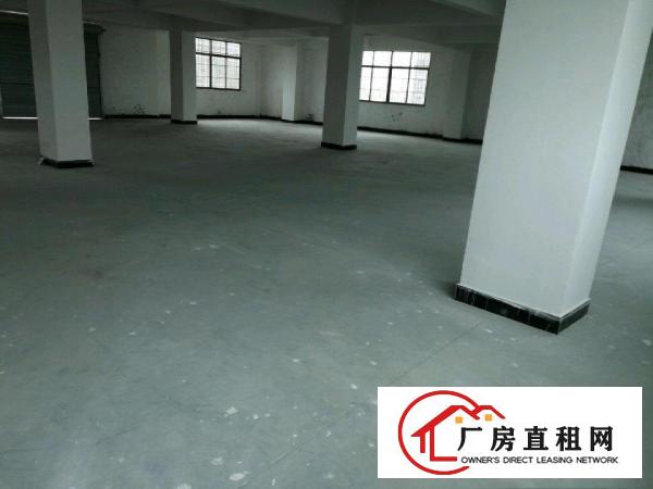  业主直租杨屋粤美特加油站200米400平免租2个月