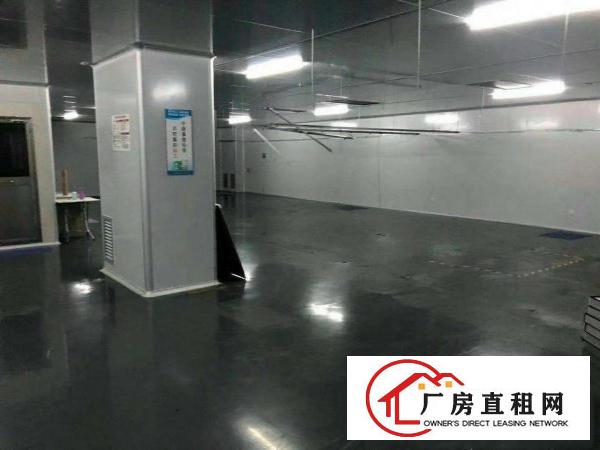  大岭山新出无尘车间口罩行业看过来
