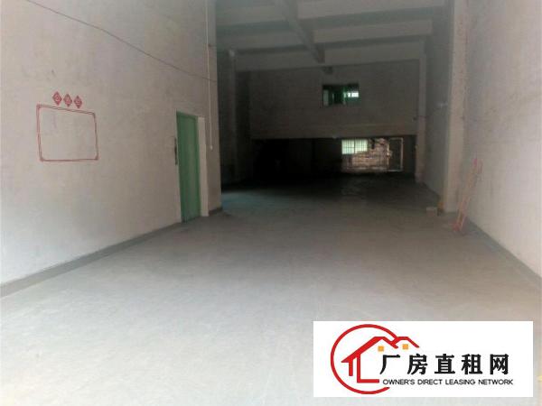  大岭山向东新出原房东独门独院1000㎡