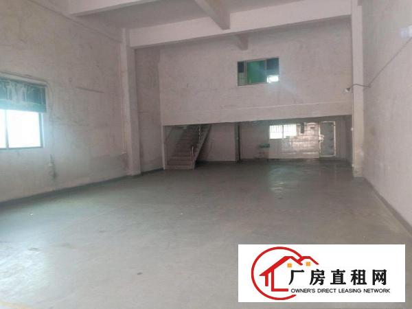 大岭山向东新出原房东独门独院1000㎡