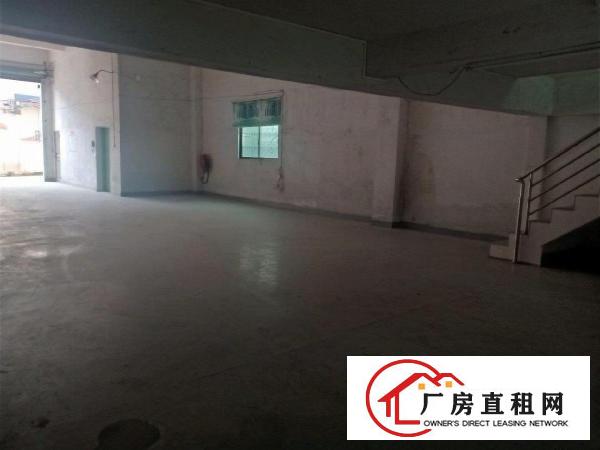  大岭山向东新出原房东独门独院1000㎡
