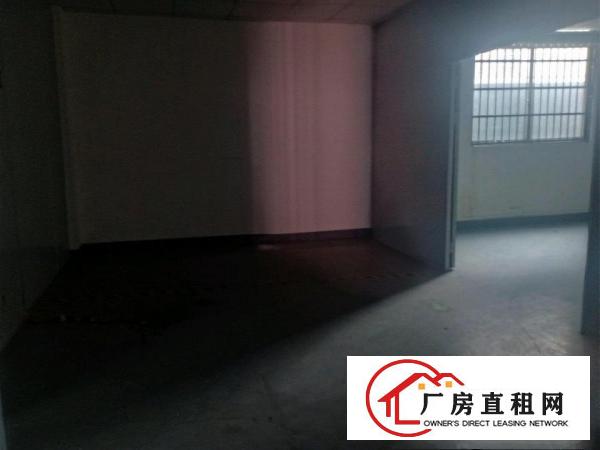  大岭山向东新出原房东独门独院1000㎡