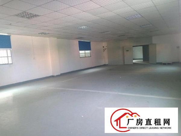  大岭山向东新出原房东独门独院1000㎡