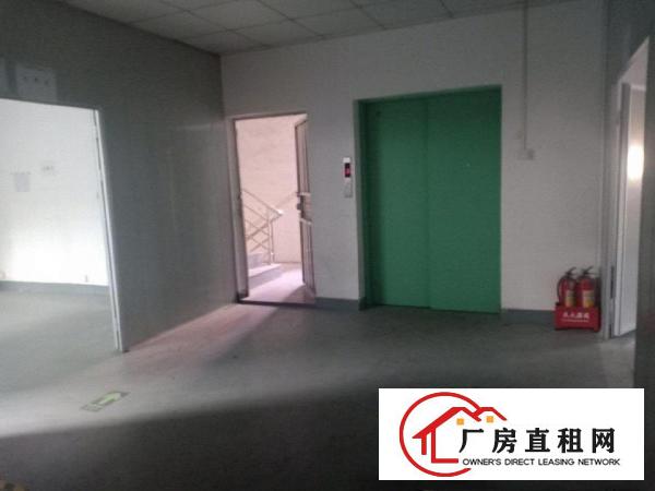  大岭山向东新出原房东独门独院1000㎡