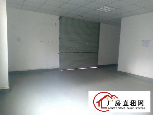  大岭山向东新出原房东独门独院1000㎡