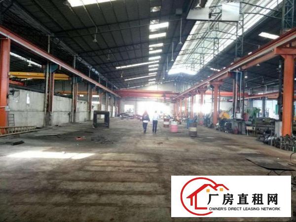  大岭山金桔原房东带航车单一层出租厂房11000平米