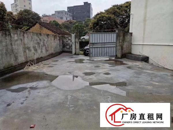  出租|大岭山杨屋国道边新出原房东独门独院400平米钢结构厂房