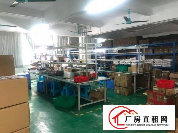  大岭山镇楼上精装修办公室，地平漆车间水电齐全