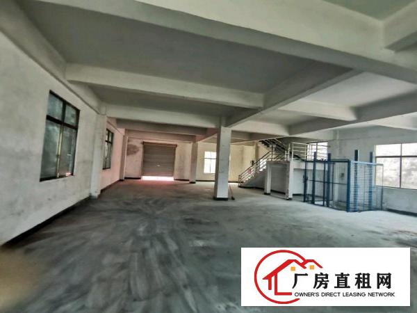 新出原房东小独院800平无公摊有货梯