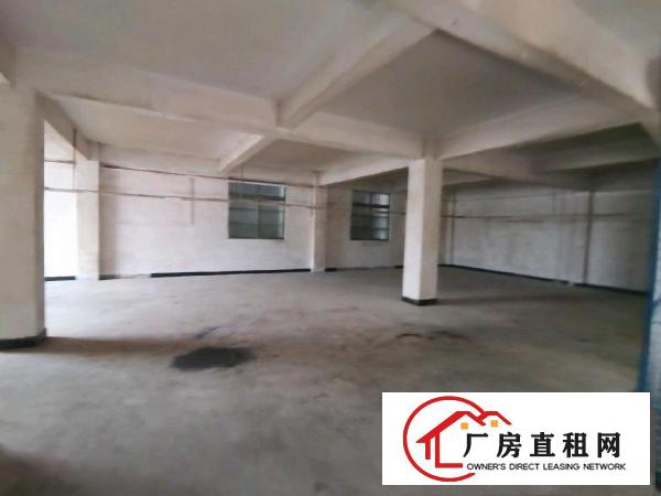  新出原房东小独院800平无公摊有货梯