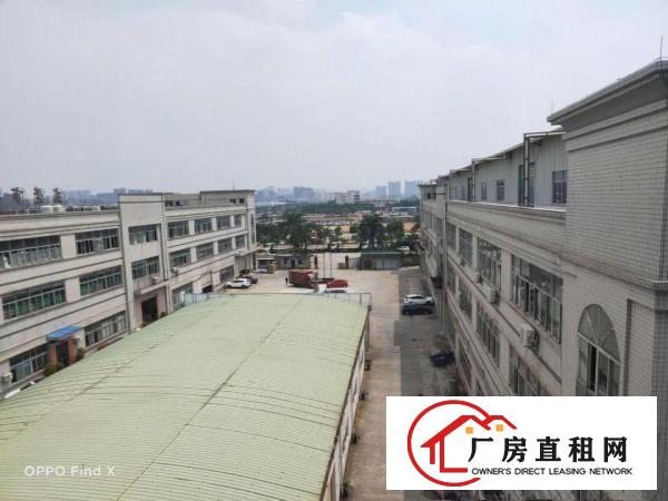  出租大岭山镇大岭山工业区园区厂房可分租