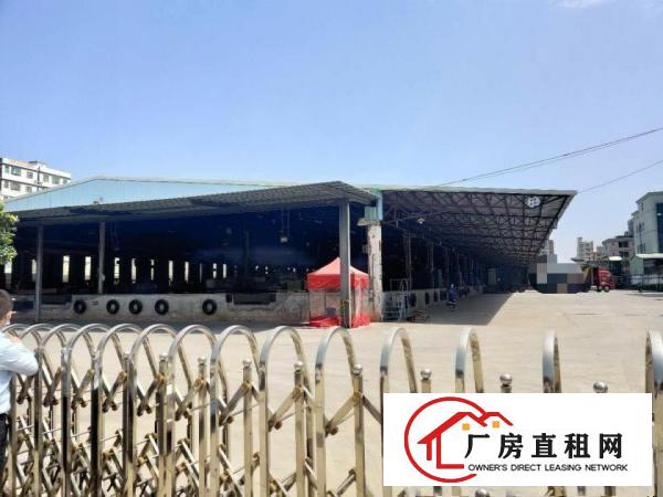  大岭山镇向东村107国道500米独门独院单一层13580平方
