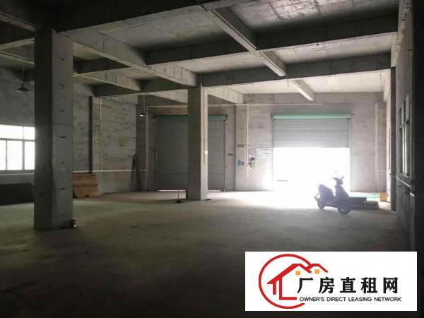  大岭山镇金桔村独栋两层600平厂房出租信息