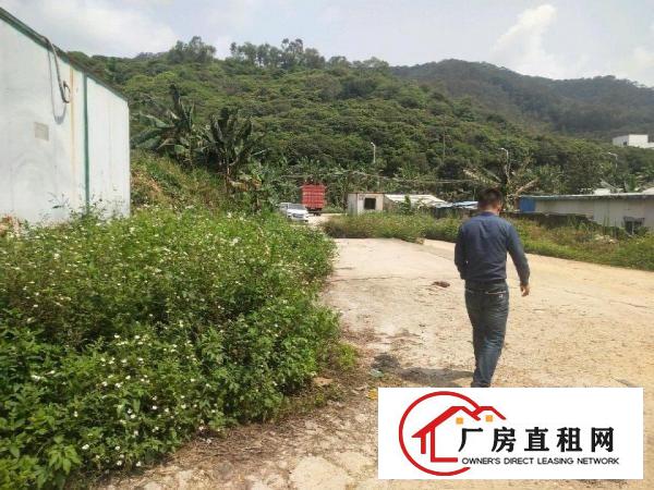  大岭山连平村单一层厂房1000平方