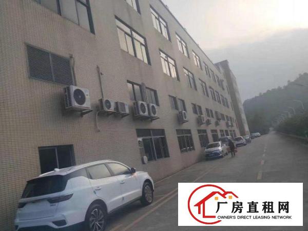  大岭山园区分租一二楼5000平可分租