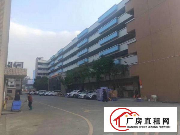  大岭山园区分租一二楼5000平可分租