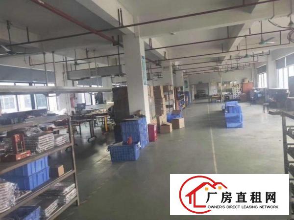  大岭山园区分租一二楼5000平可分租