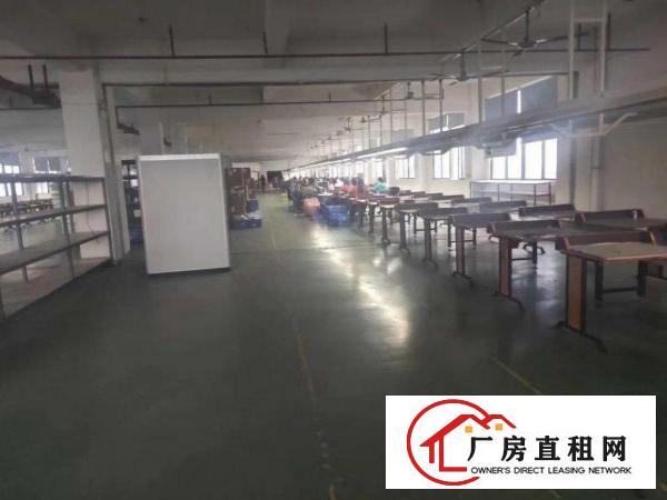  大岭山园区分租一二楼5000平可分租