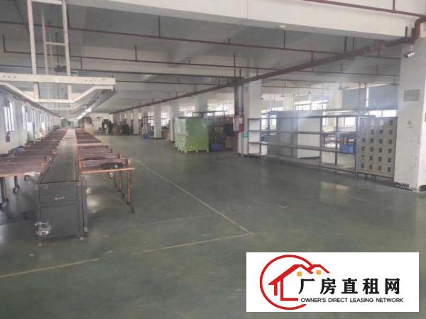  大岭山园区分租一二楼5000平可分租