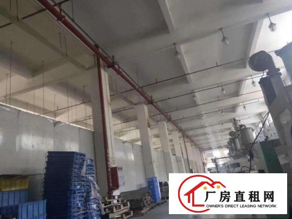  大岭山园区分租一二楼5000平可分租