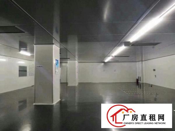  大岭山无尘车间2楼2600平方出租