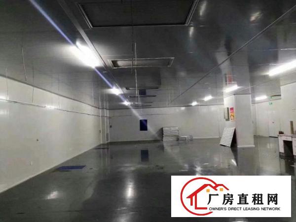  大岭山无尘车间2楼2600平方出租