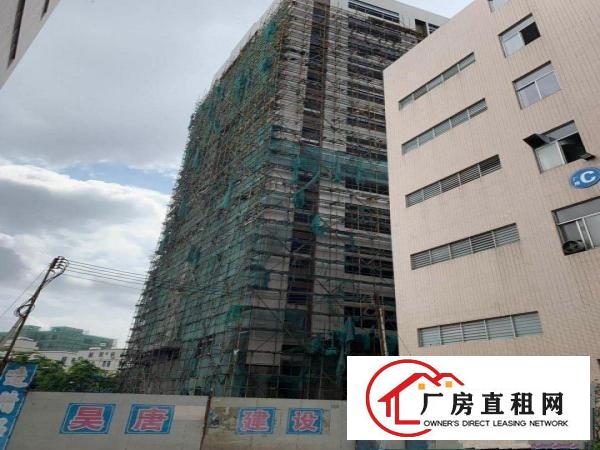  大岭山杨屋新出标准原房东可分租厂房3000平米一层可分租