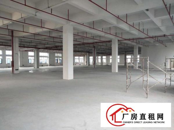  大岭山杨屋新出标准原房东可分租厂房3000平米一层可分租