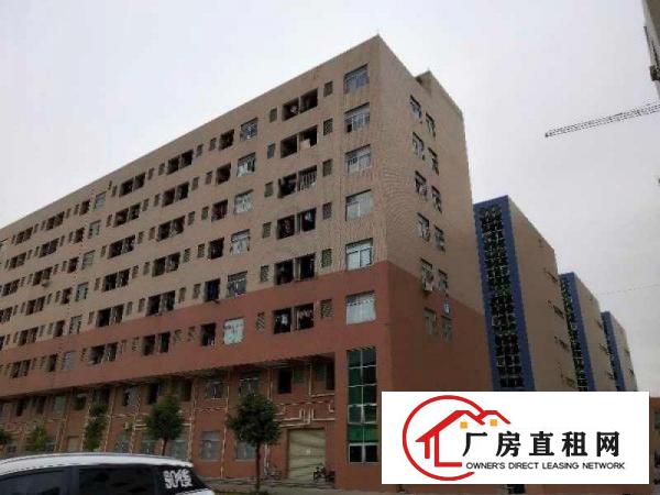  大岭山杨屋新出标准原房东可分租厂房3000平米一层可分租