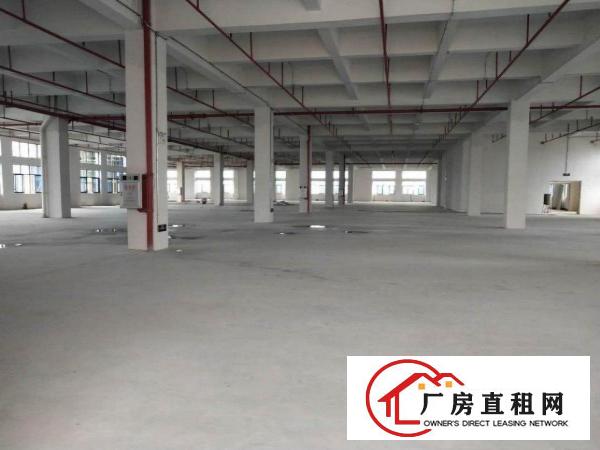 大岭山杨屋新出标准原房东可分租厂房3000平米一层可分租