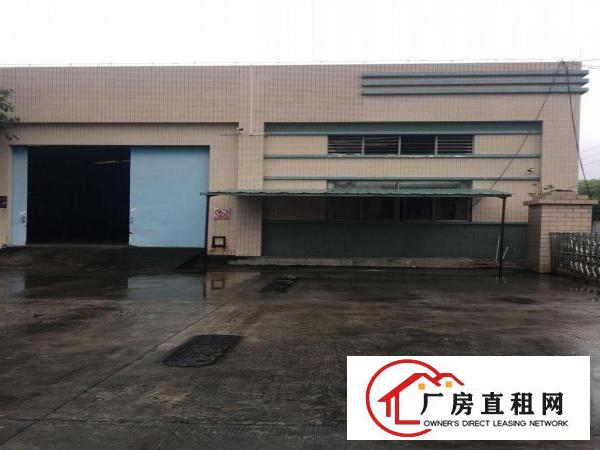  大岭山杨屋原房东单一层独门独院厂房4200平米