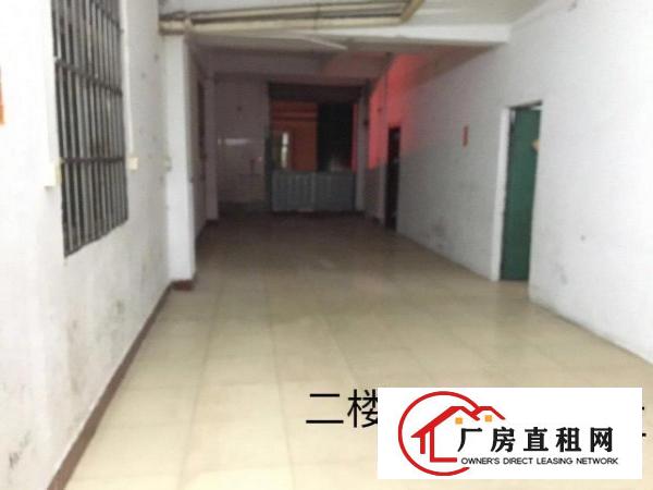  大岭山镇杨屋东埔新村，临街商铺，厂房仓库出租