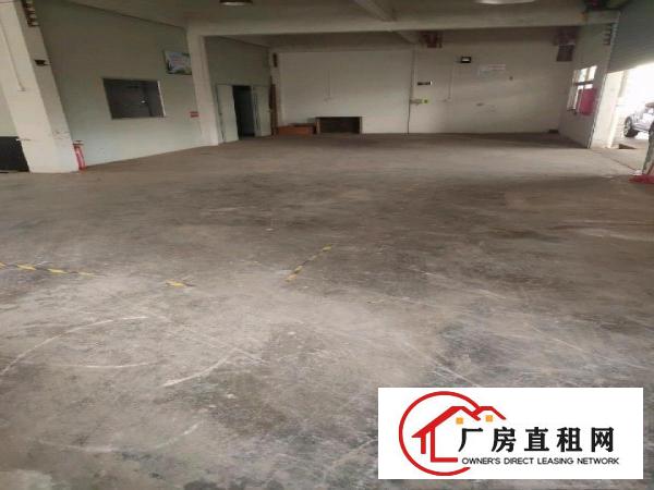  杨屋带现成装修一楼400平方出租