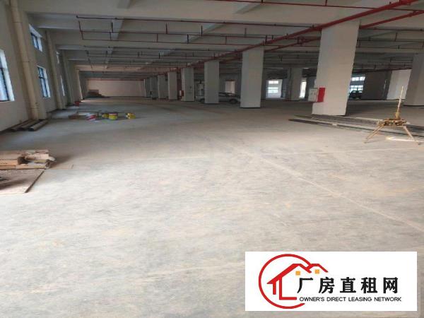  杨屋独院厂房11000平方出租，可分租