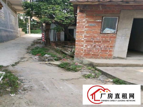  适合你的小厂房！靠近大路边