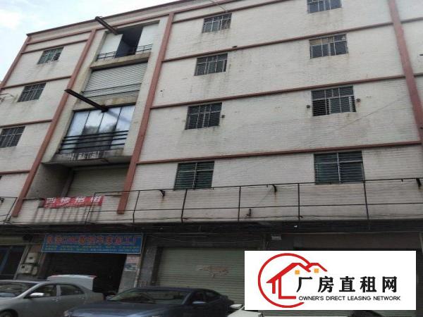  大岭山杨屋厂房出租500㎡(二楼)