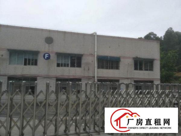  大岭山镇新出单一层钢结构独院可办环评厂房3300平方出租